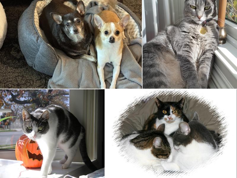 Branmar Veterinary Hospital