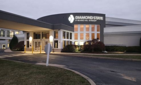 Diamond State Financial Group