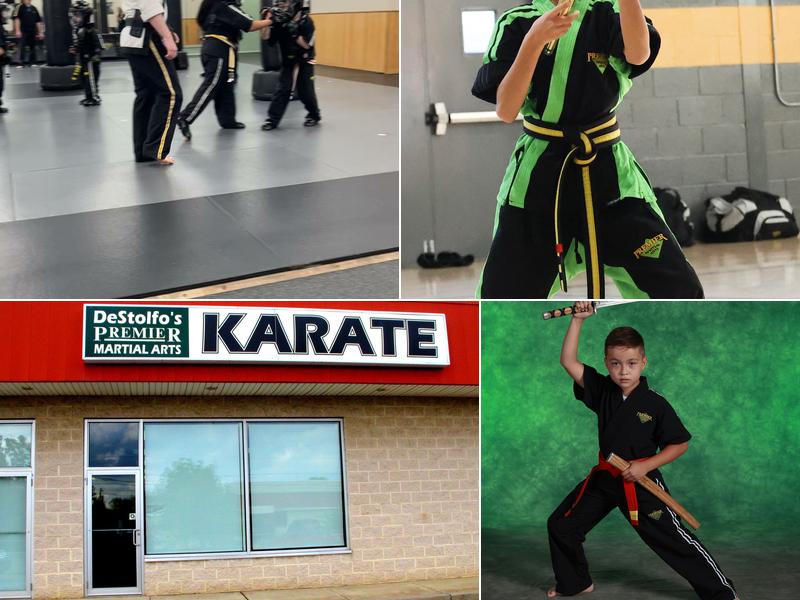 DeStolfo's Premier Martial Arts