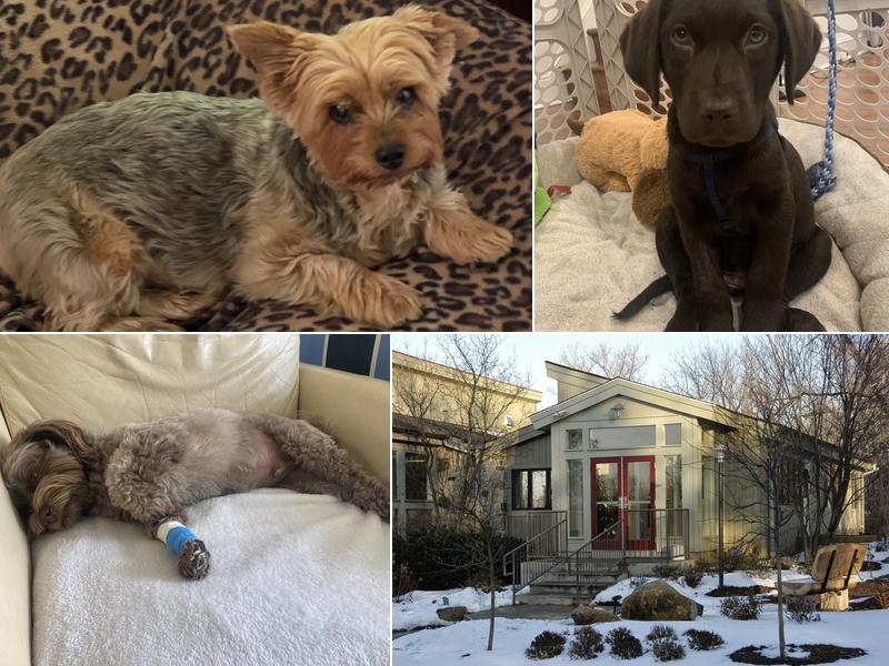 Gateway Animal Hospital