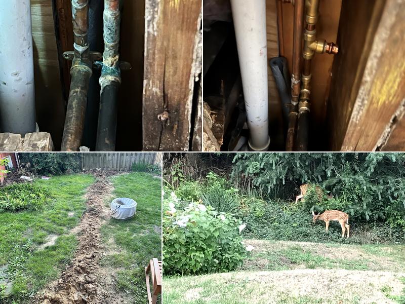 D R Sevacko Plumbing