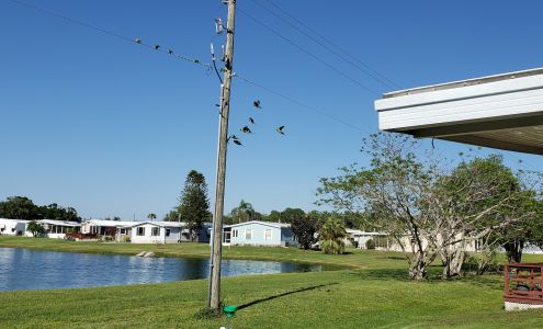 Terra Siesta Co-Op