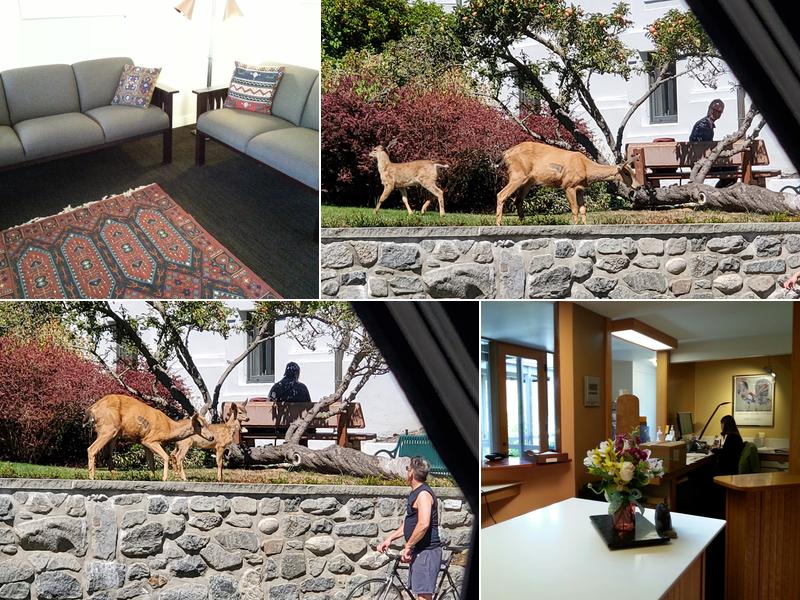 Uptown Dental Clinic