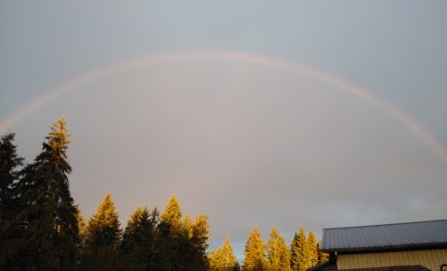 Brady Trucking Co Inc