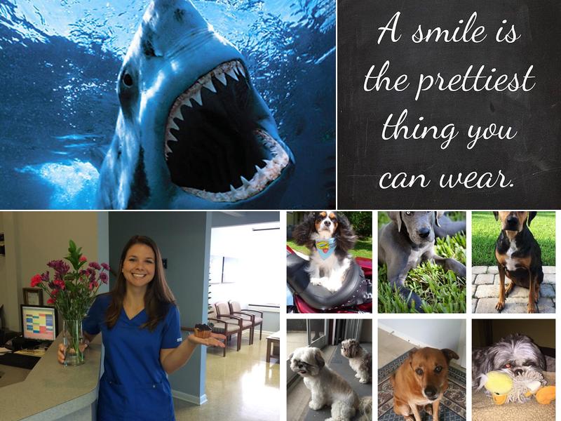 Dr. Christopher W. Kindig, DMD