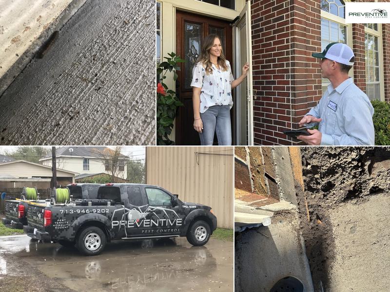 Preventive Pest Control