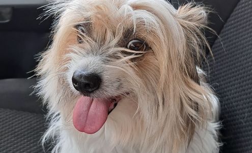 Wet Paws 406 E Ocean Blvd, Los Fresnos Texas 78566