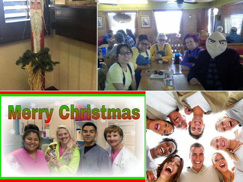 Lovelady Frances A DDS