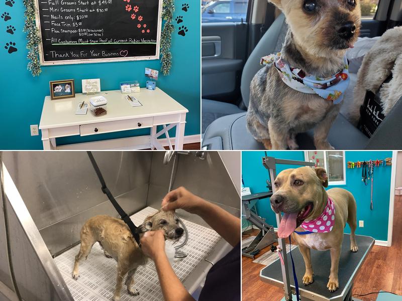 Fuzzy Faces Dog Grooming