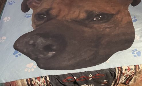 Dr. David E. Grabeman, DDS 71-C, Da Gullah Way # C, Pawleys Island South Carolina 29585