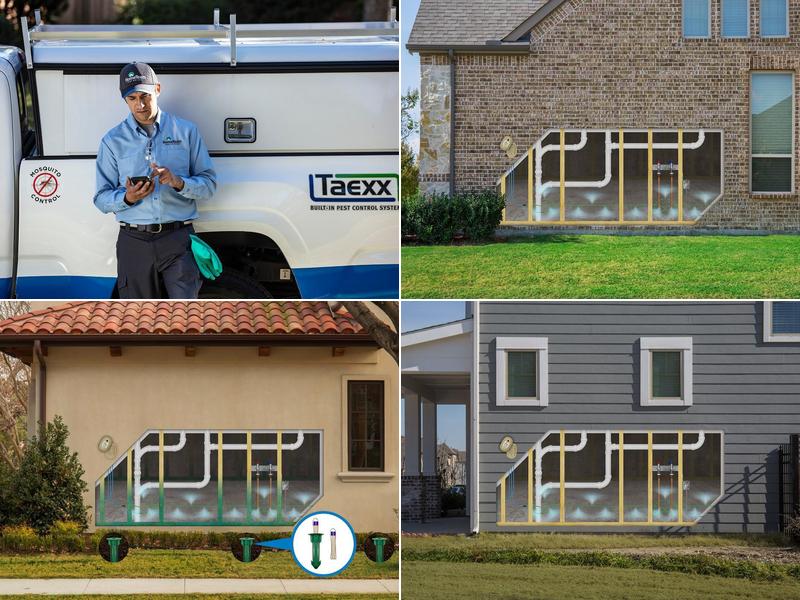 HomeTeam Pest Defense