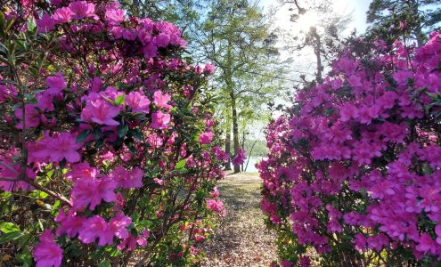 Gregg Park Civic Center Graniteville