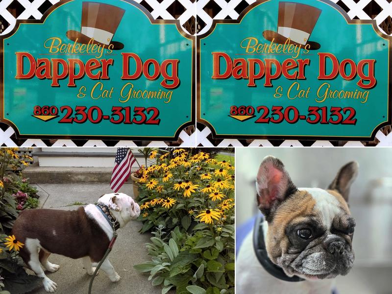 Berkeley's Dapper Dog & Cat Grooming LLC