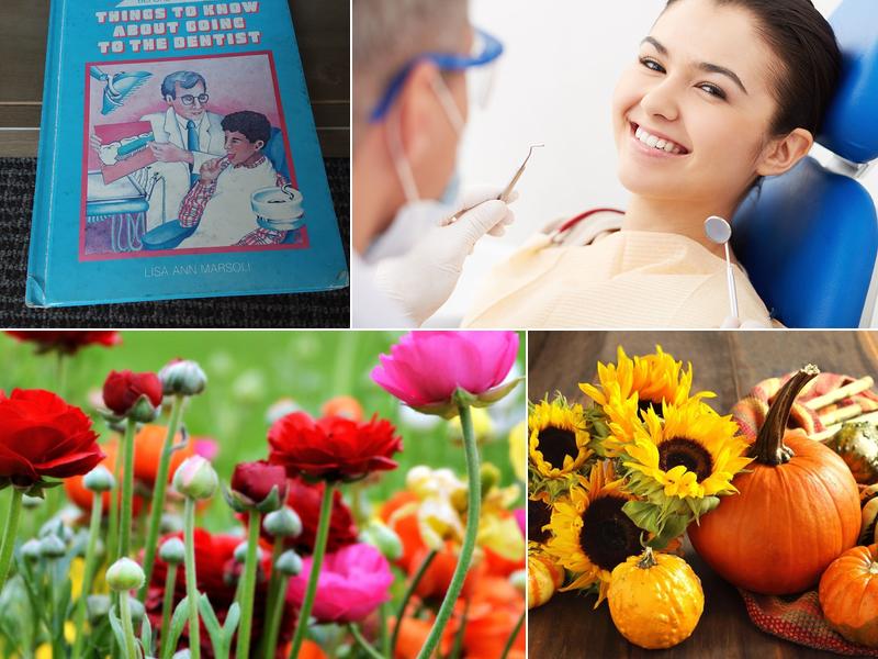 Thomas J. Biscotti Dmd, LLC