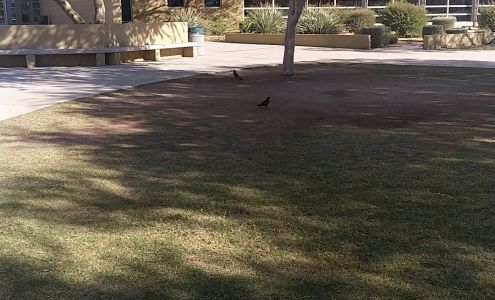 Boulder Creek High School