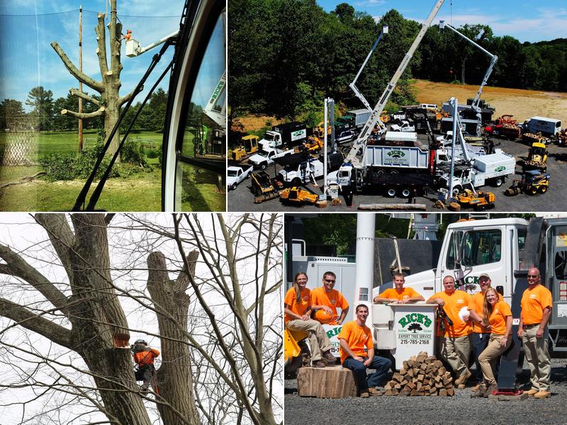 Rick's Expert Tree Service, Inc.