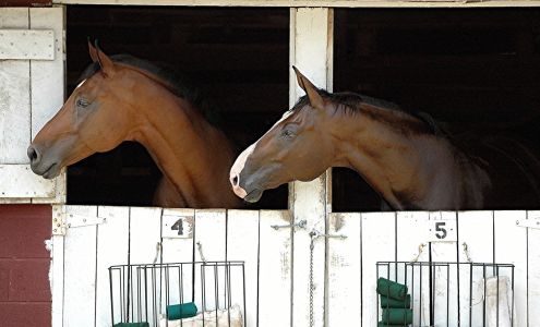 Hoof Print Images Photography Lincoln University