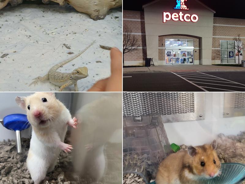 Petco