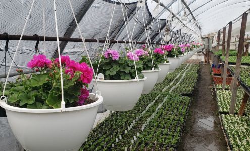 Rock's Farm And Garden Kirtland