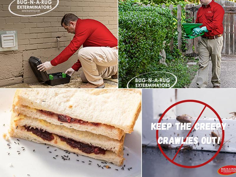 Bug-N-A-Rug Exterminators