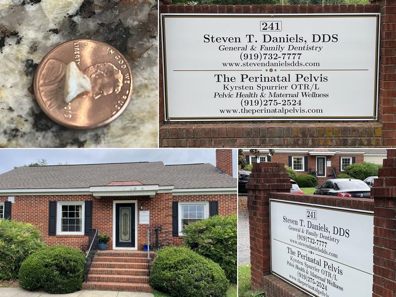 Steven T. Daniels DDS PA