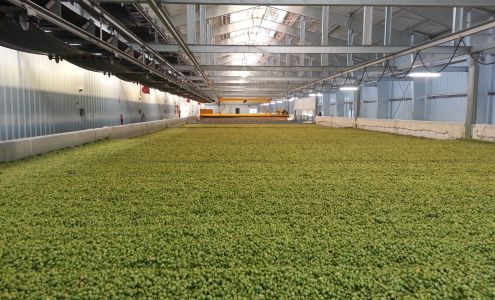 Perrault Farms, Inc. 11051 Lateral A Rd, Toppenish Washington 98948