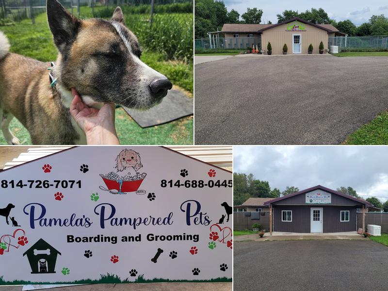 Pamela's Pampered Pets Corp