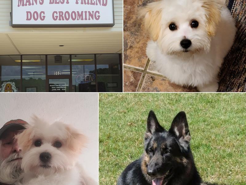 Man's Best Friend Grooming