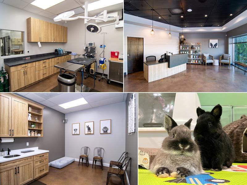 Warm & Fuzzy Veterinary Center