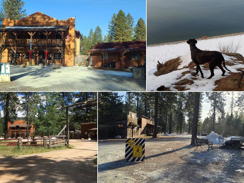 OK-9 Corral Bed & Biscuits