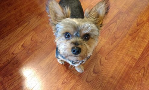 Wag'n Tail Retreat 110 Taum Sauk Ct, Leadington Missouri 63601