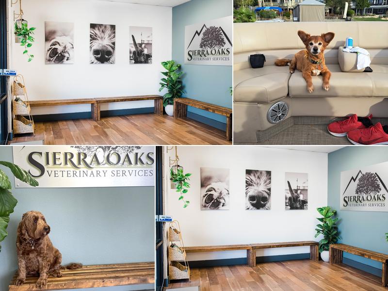 Sierra Oaks Veterinary Services