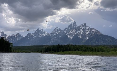 Solitude Float Trips Moose