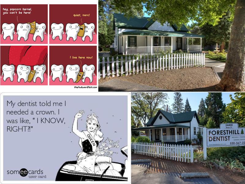 Foresthill Dentist - Michael J Young, DDS, Inc.