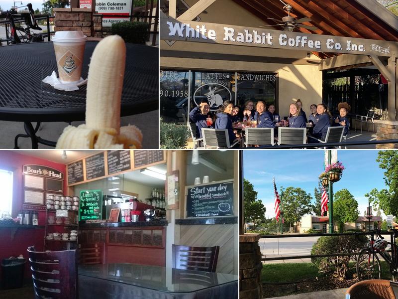 White Rabbit Coffee Co.