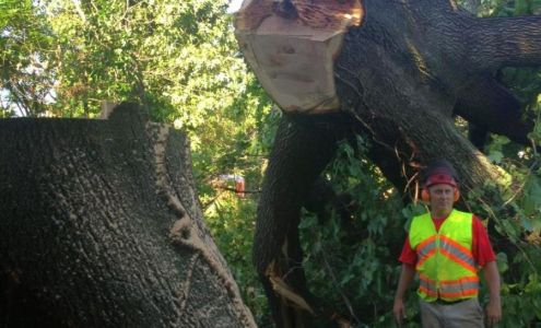 ArborLife Professional Tree Care, INC Crozet