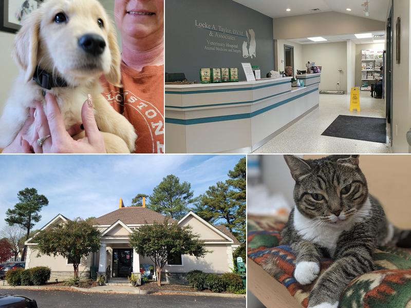 Locke A. Taylor DVM and Associates