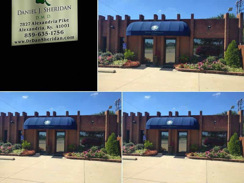 Daniel J Sheridan D.M.D.