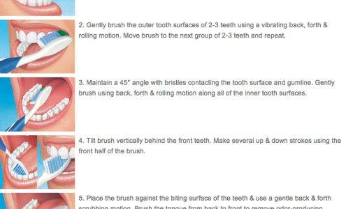 Barton Michael w DDS 113 CA-89, Graeagle California 96103