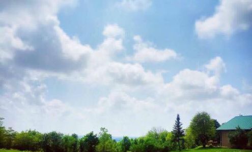 Champaign County Animal Welfare League - David Robert Wetzell Memorial Clinic Mechanicsburg