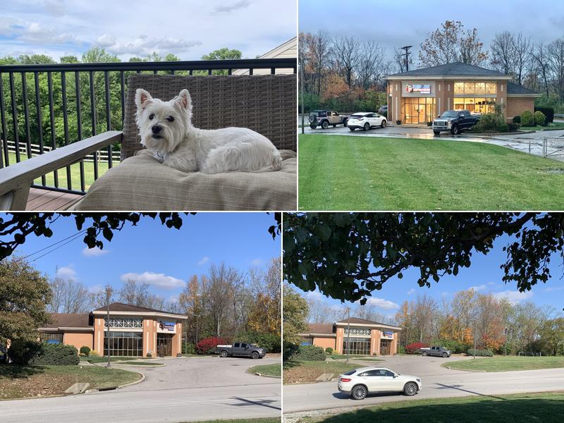 Simpson Veterinary Services