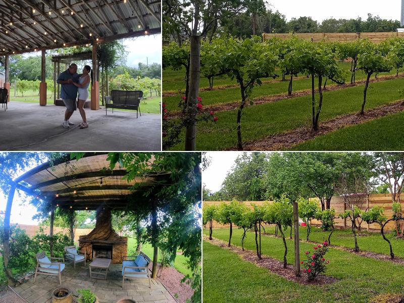 Yepez Vineyard 12739 Farm to Market Rd 2354, Baytown