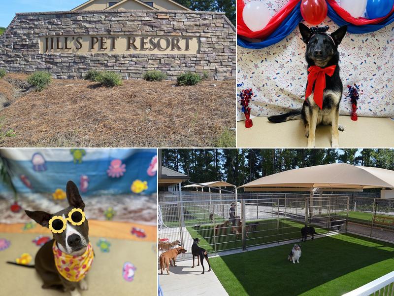 Jill's Pet Resort