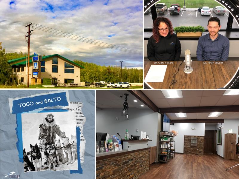 Tier 1 Veterinary Medical Center