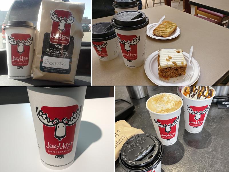 Java Moose 519 Westmorland Rd, Saint John