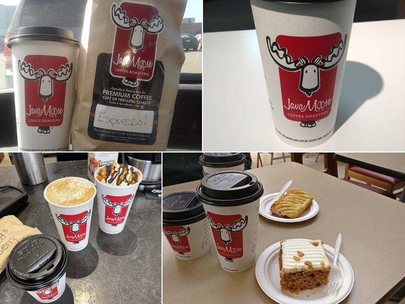 Java Moose 519 Westmorland Rd, Saint John