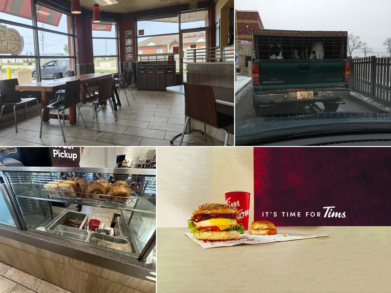 Tim Hortons 51 Talbot St W, Cayuga