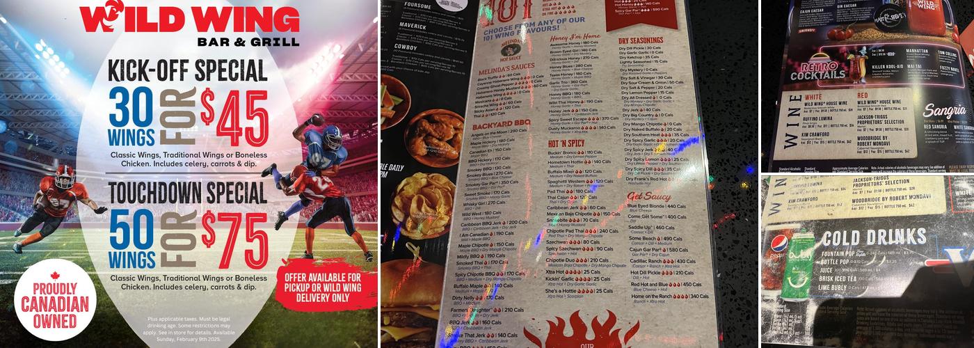 Wild Wing Bar & Grill Menu