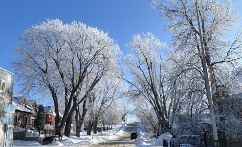 Halo Hair Studio 304 3rd St S, Kenora Ontario P9N 1V1