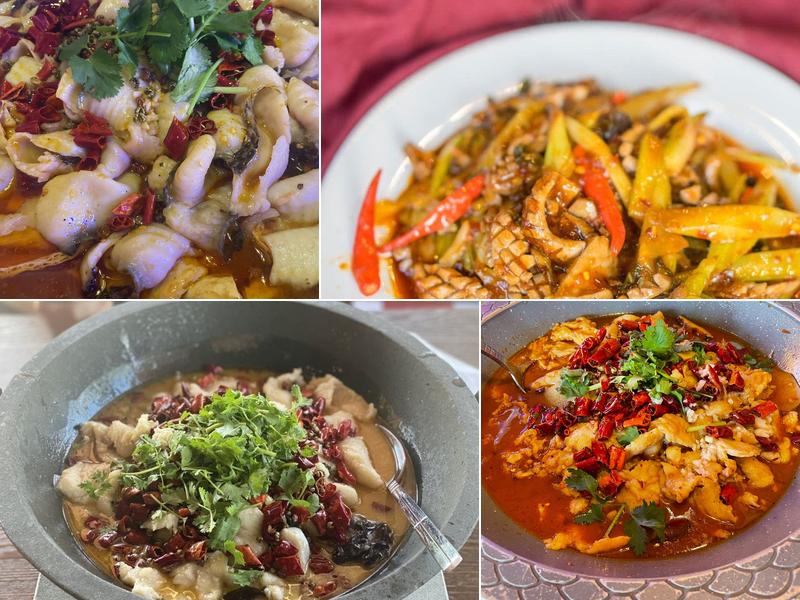 Spicy PoPo Szechuan Fish